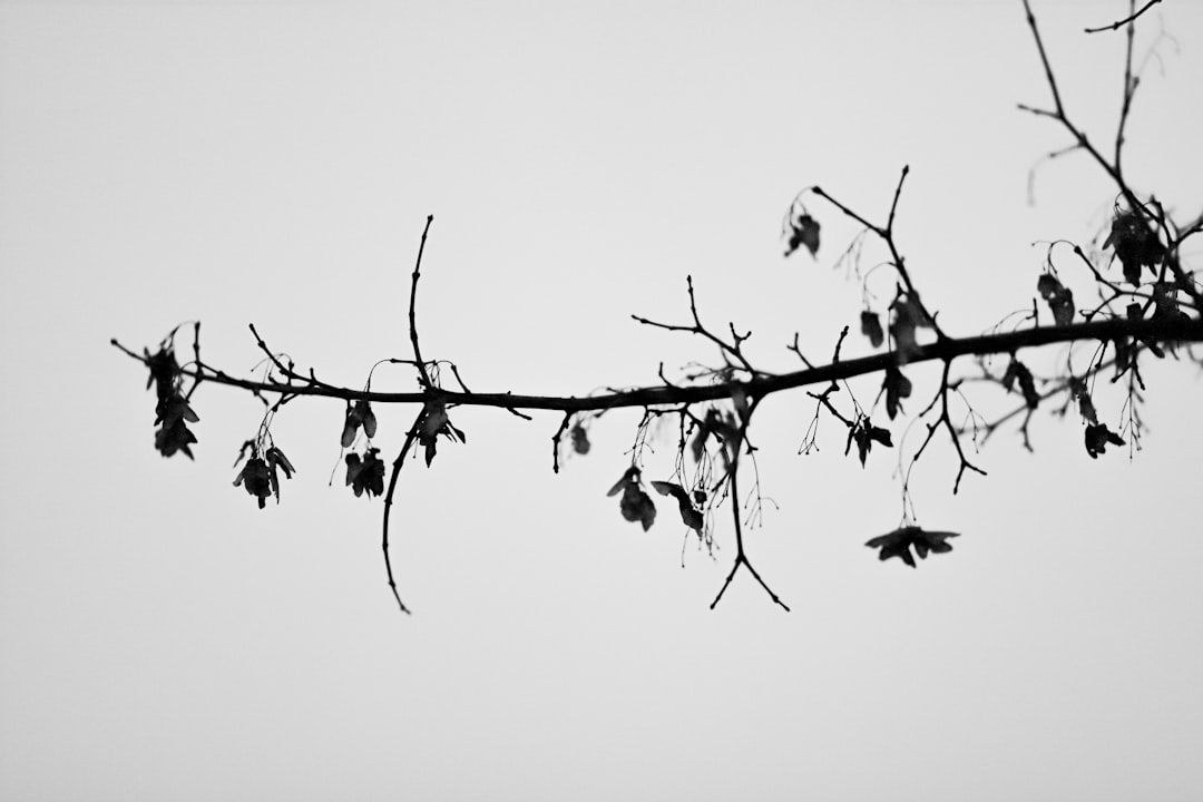 Reintegration