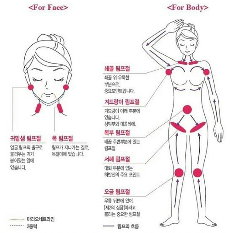 림프 마사지
