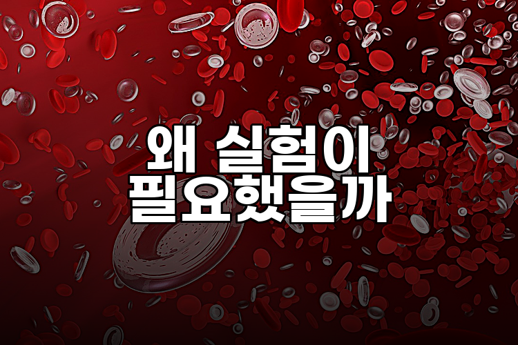 왜 실험이 필요했을까