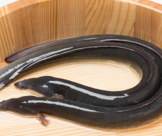 제사상 금기시 음식