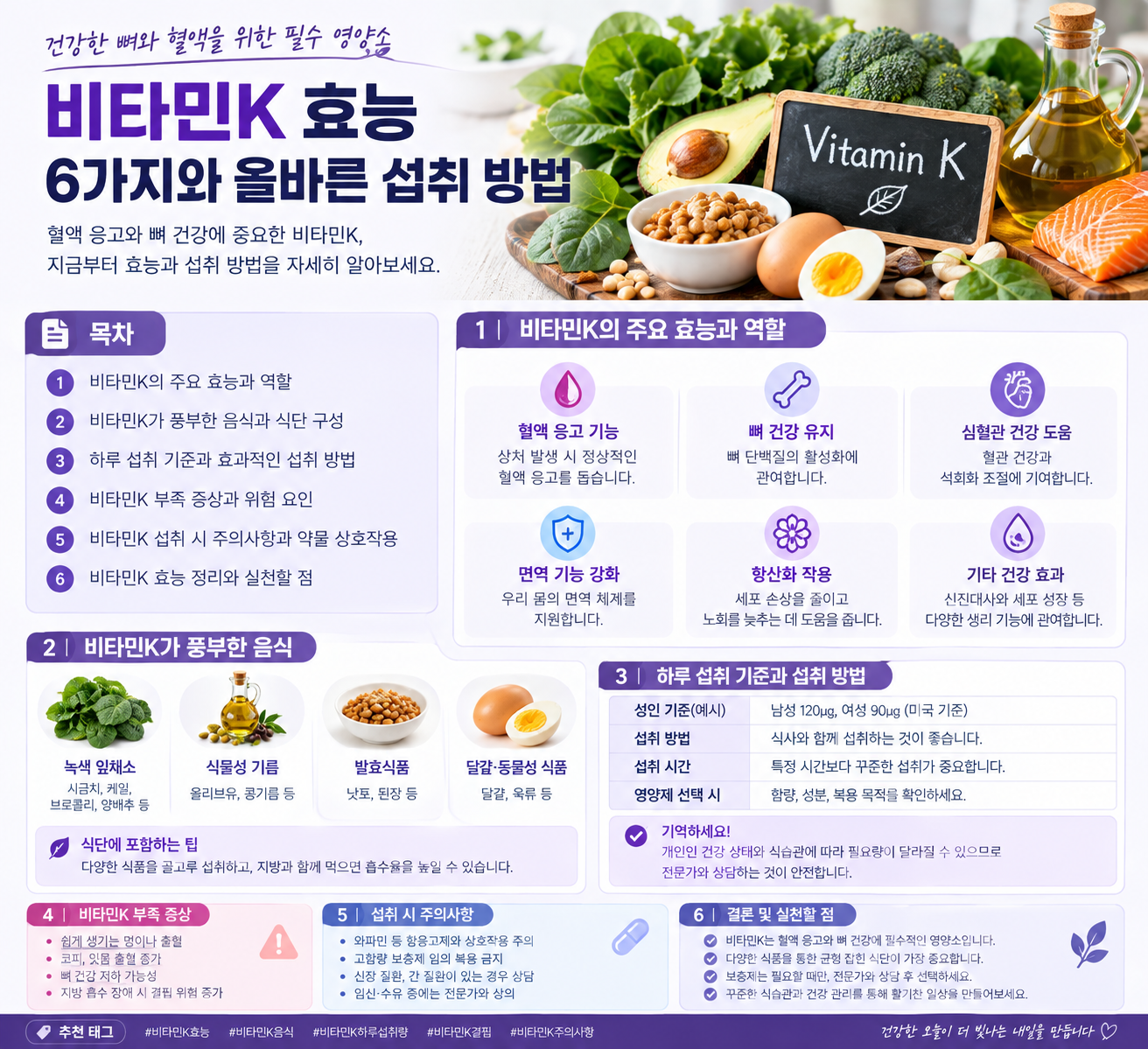 비타민K 효능 관련 자료