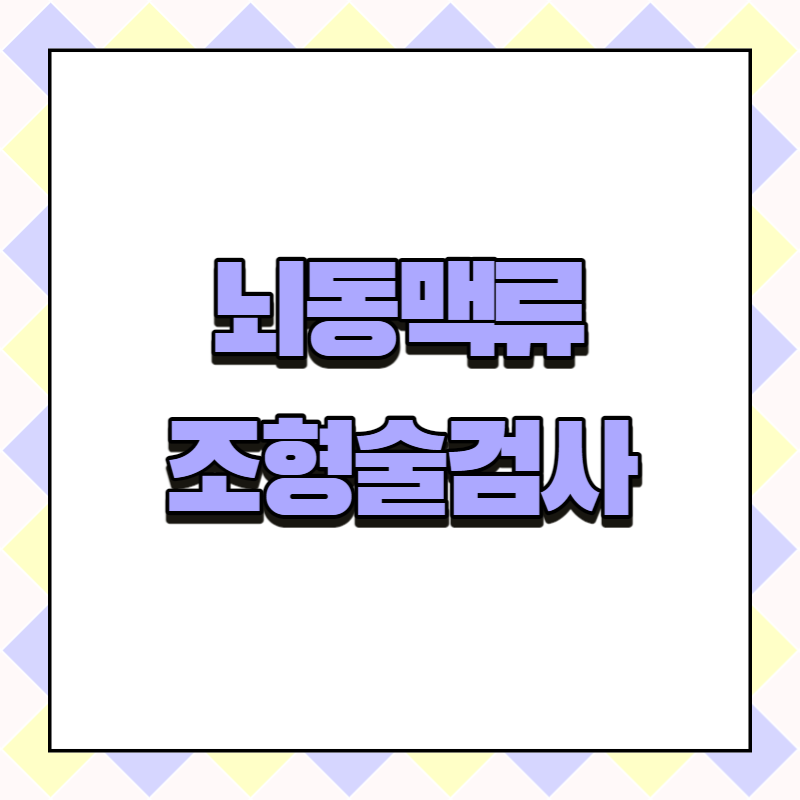 뇌동맥류 조형술검사