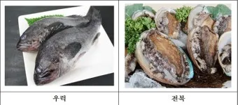 6월 제철 횟감 맛집 어디서 먹는 게 가장 맛있을까요 지역별 상세 추천_8