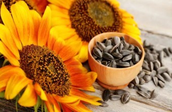 해바라기 씨의 칼로리, 먹는 법, 부작용에 대해서