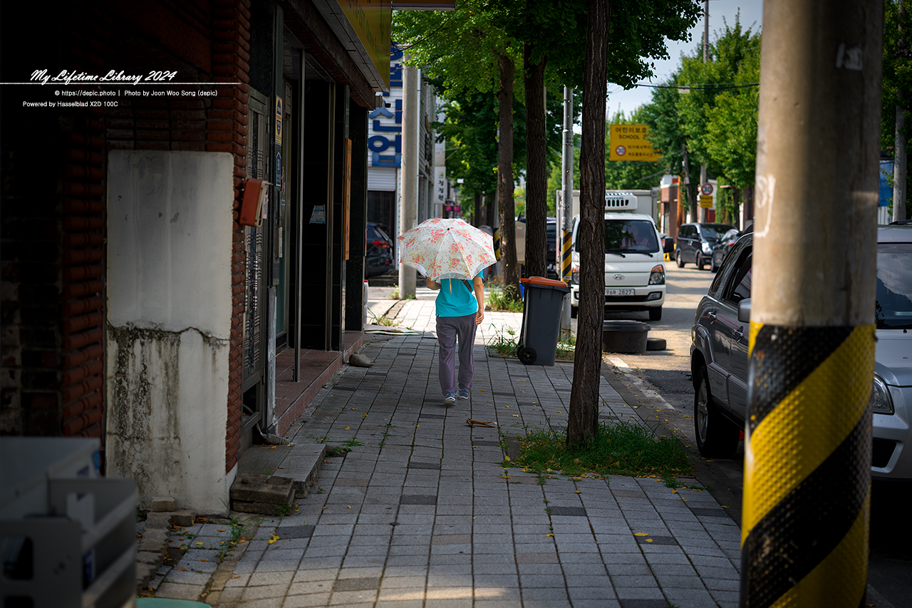 #대전 #거리 #행인 #오정동