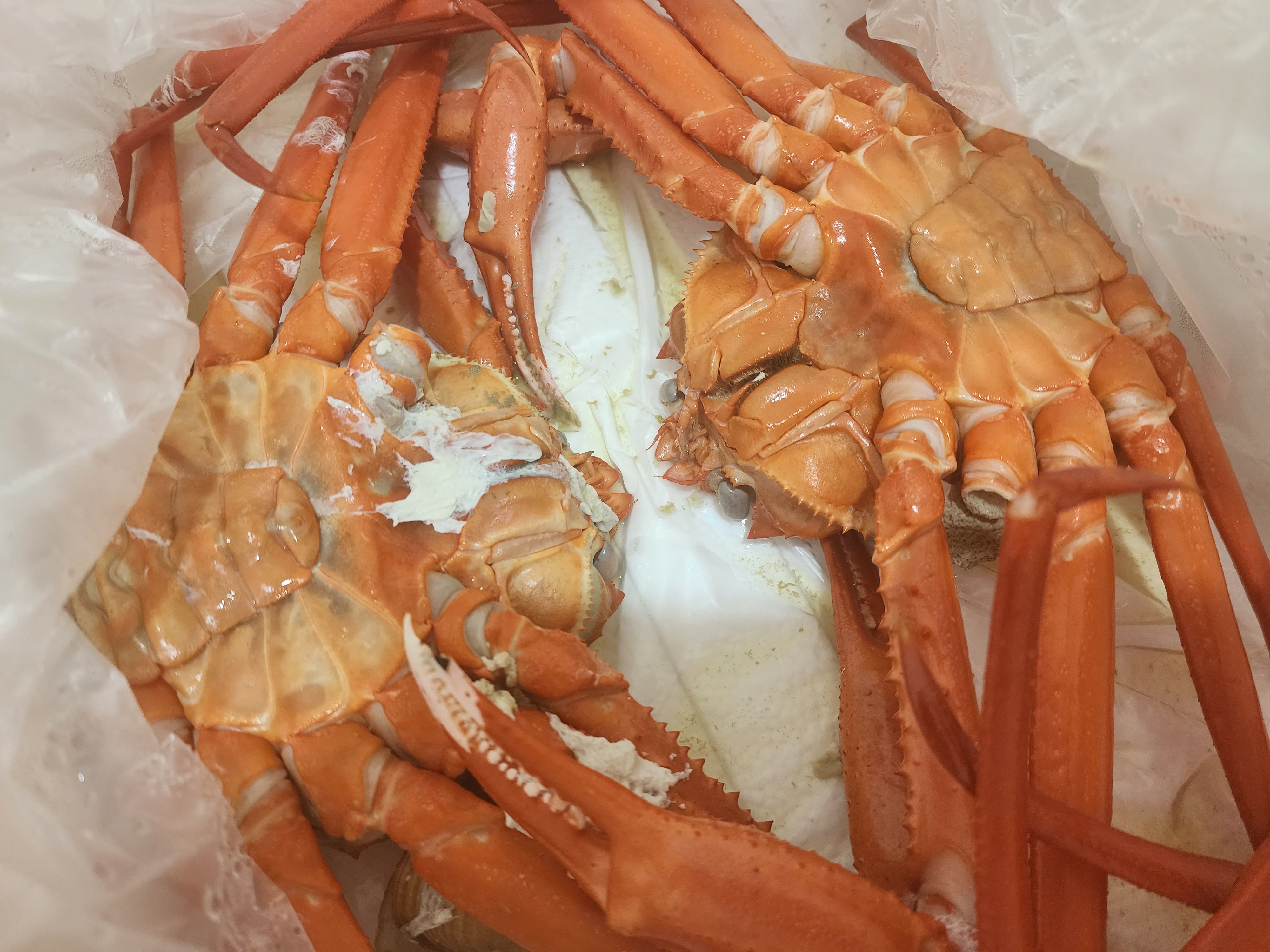 대게 시세, 대게 1키로 가격, 대게 싸게 먹는법