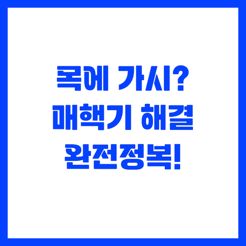 목에 가시 걸린 느낌 매핵기 증상 해..