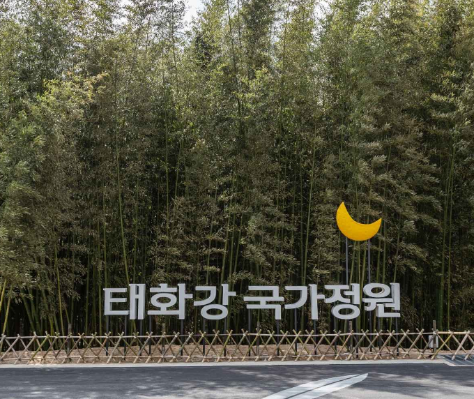 양귀비 꽃구경 주차장,야경,봄꽃축제