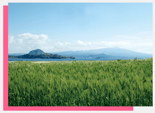 마라도 경치 사진