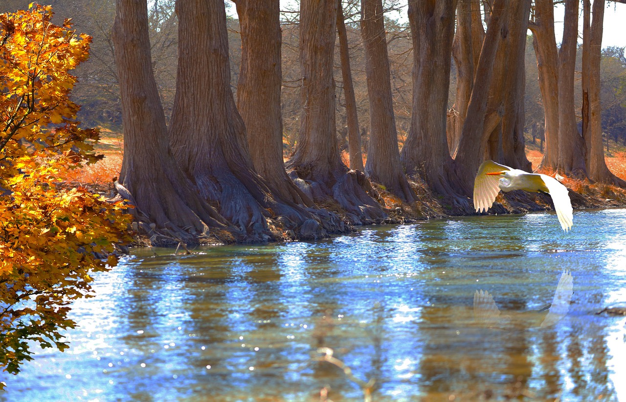 카카오뱅크 은행코드, 토스뱅크 은행코드