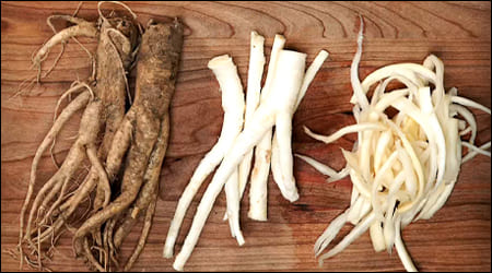 도마 위에 분류된 도라지, 도라지 채