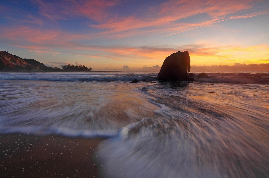 장내 미생물 리포트 해석하기