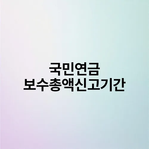 국민연금 보수총액신고기간
