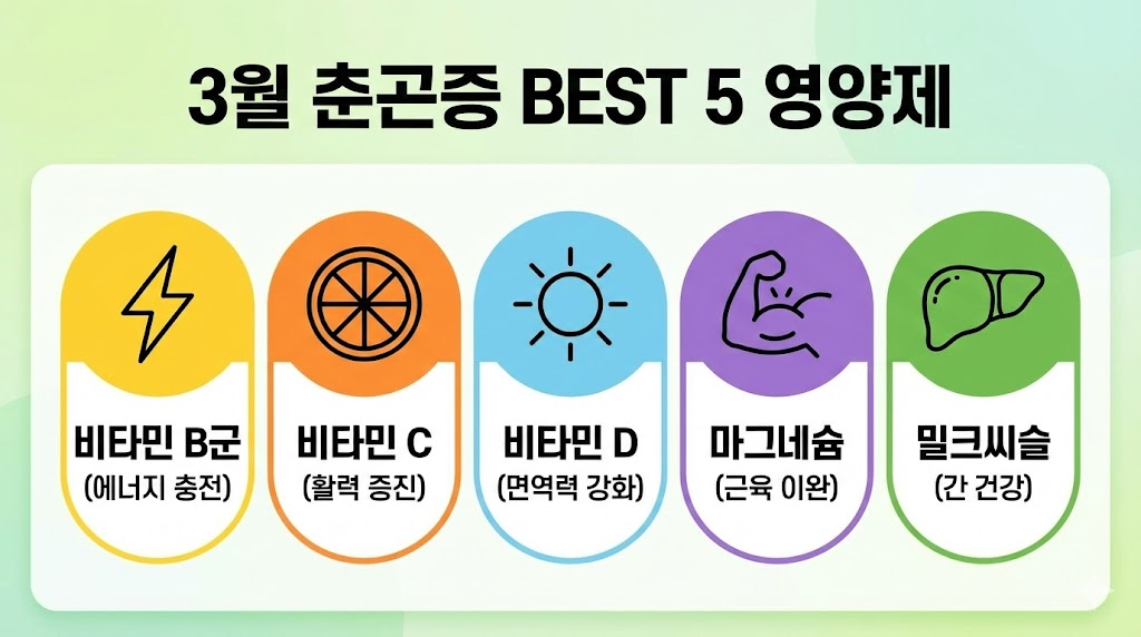 3월 춘곤증 예방에 좋은 5가지 핵심 영양제 요약 인포그래픽