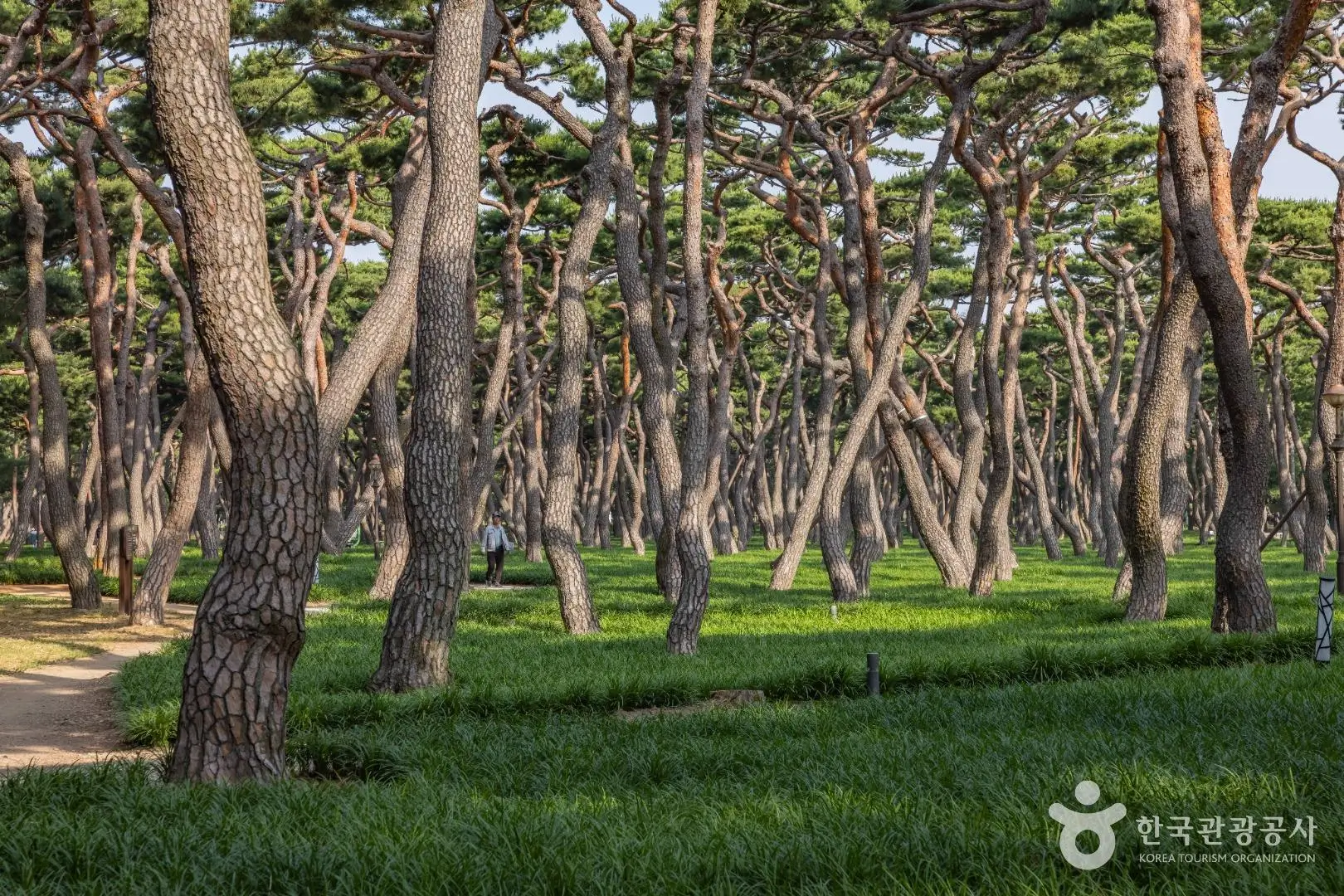 53cc5e2c-ed27-4061-8020-5d261ed94592