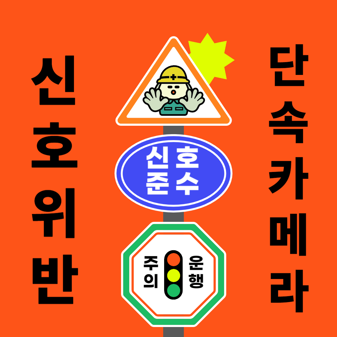 신호단속 카메라