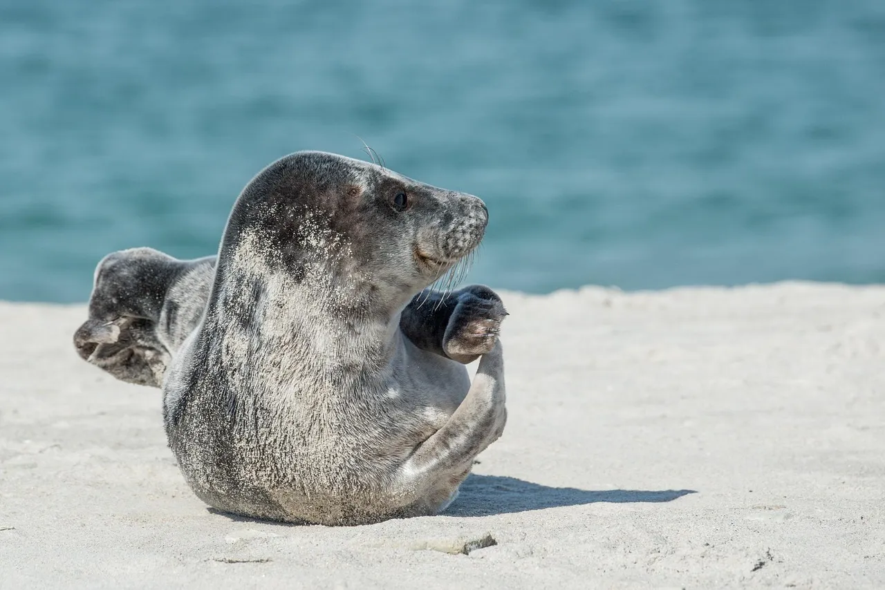북해도 여행하기 좋은 계절