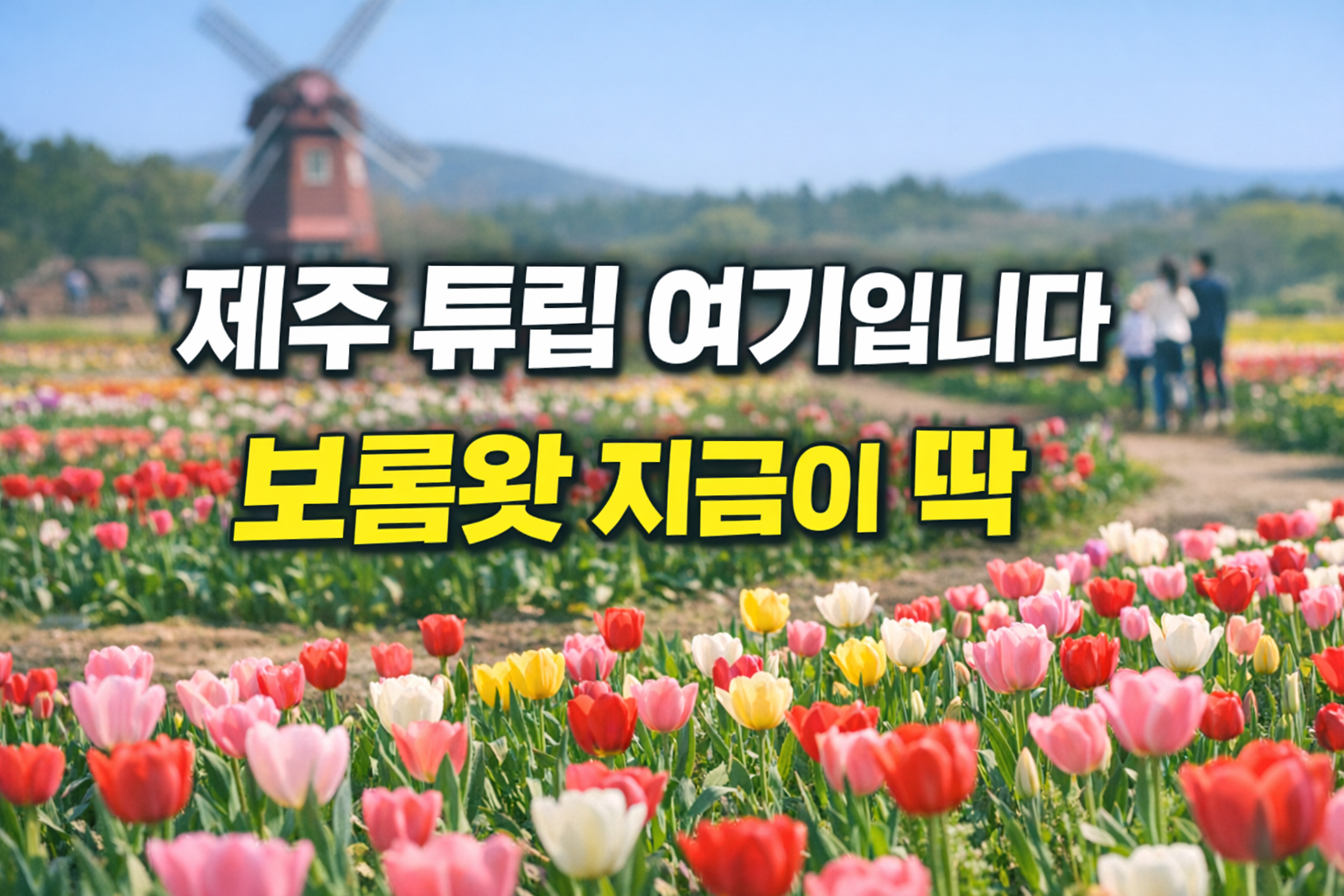 AI활용 이미지