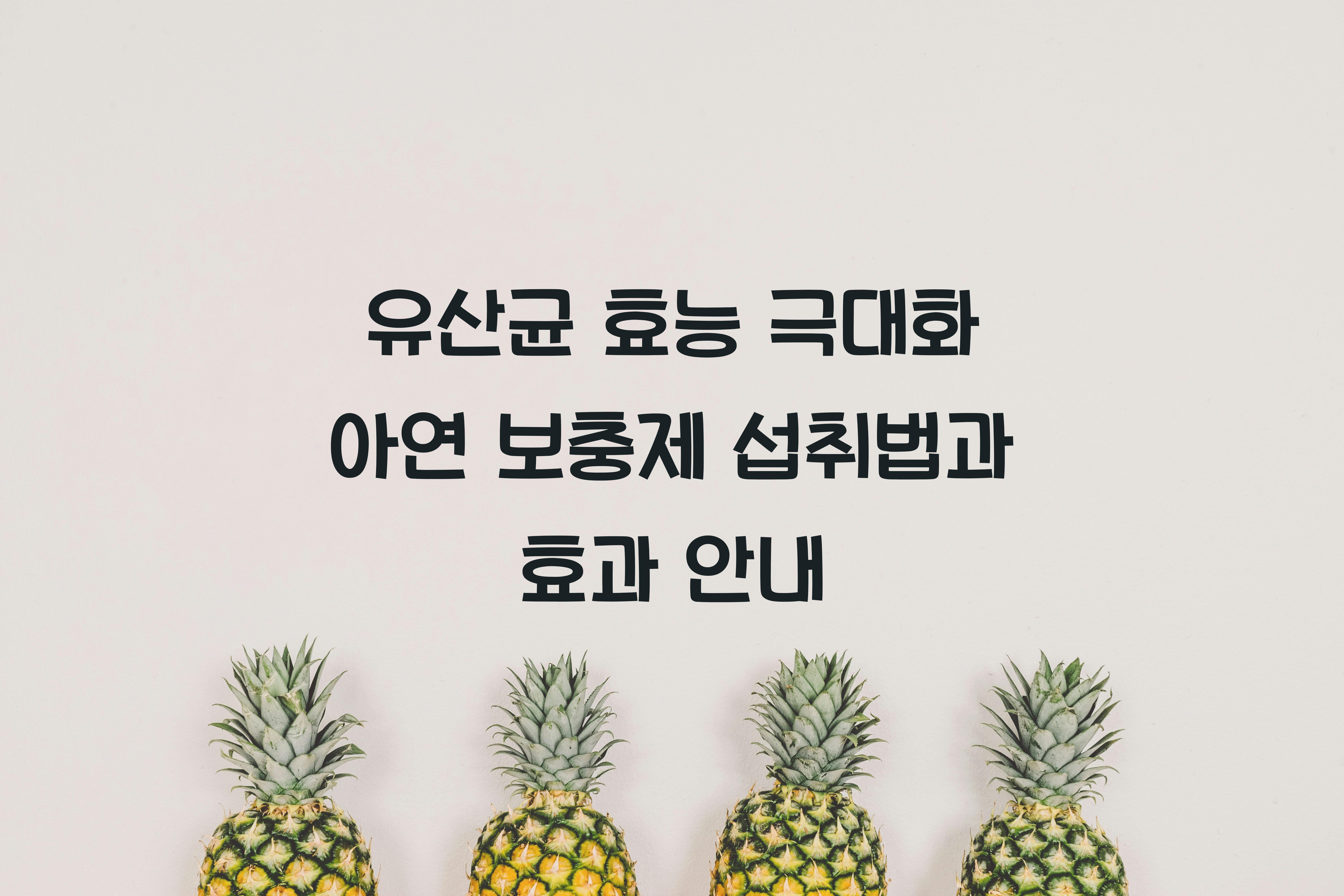유산균 효능 극대화 아연 보충제
