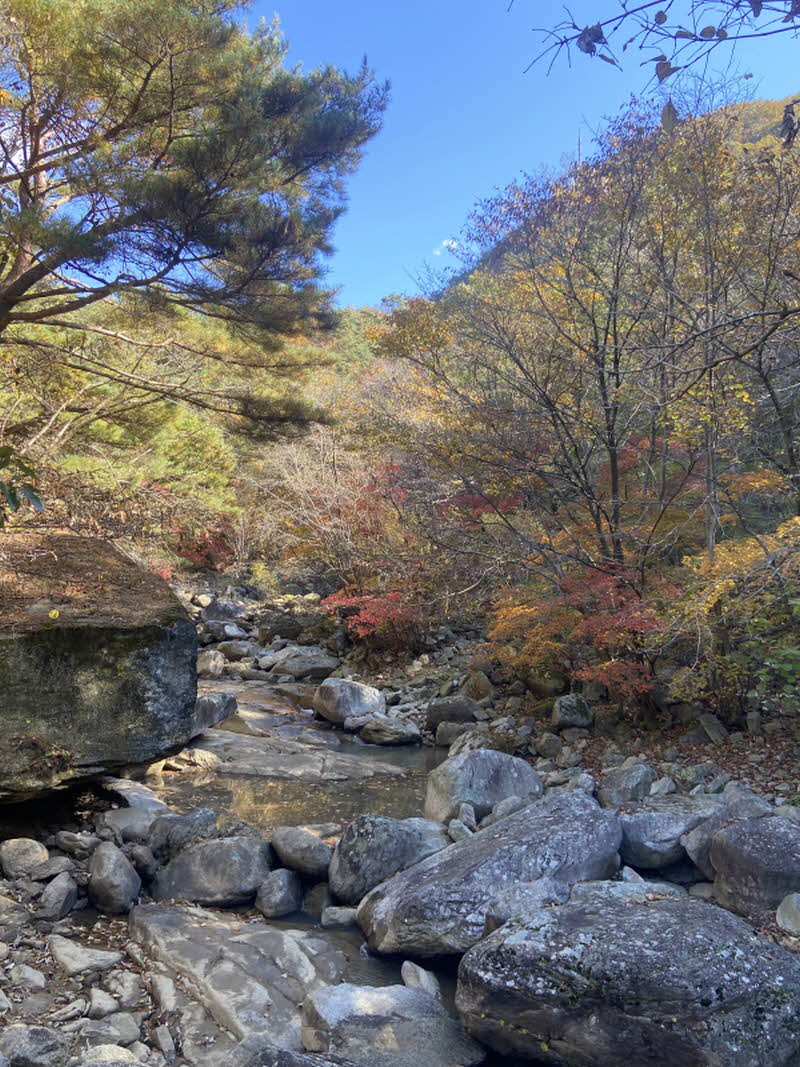 포천 명성산 등산코스 추천 억새꽃축제 방문후기. 주차장 정보
