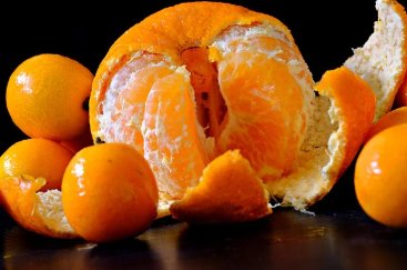 12월 제철과일 귤