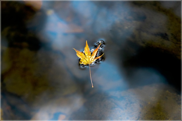 고창 선운사+도솔산 둘레길