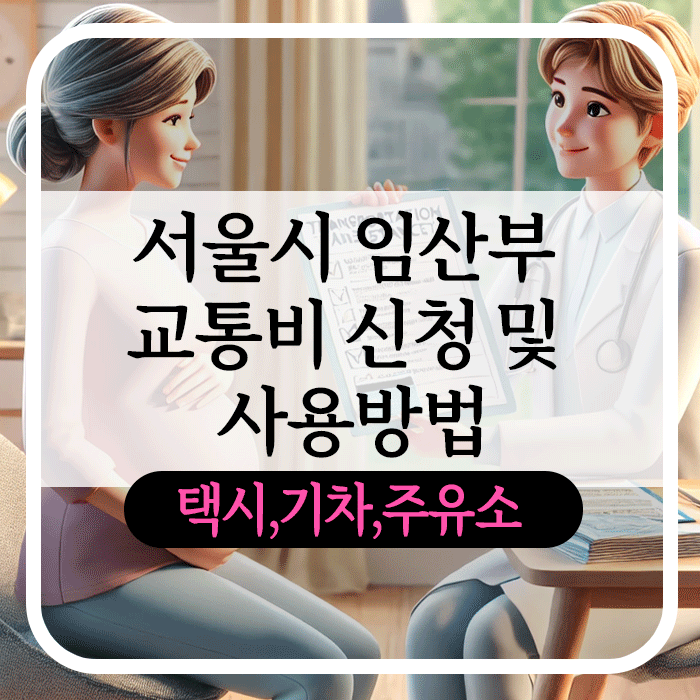 서울시 임산부 교통비 신청 및 사용방법