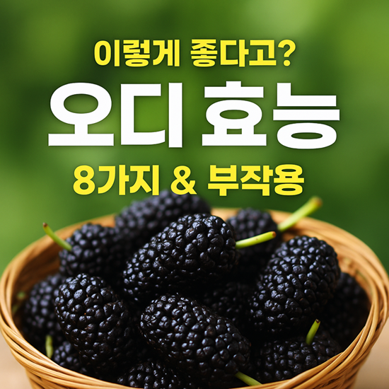 오디 효능