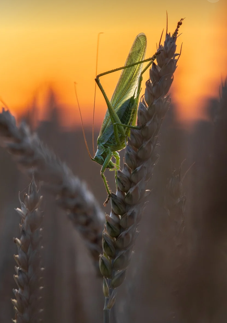 제주 유명 대안학교 (한동자연학교, 바람학교, 이도학교) 교육철학, 위치, 생활환경 비교