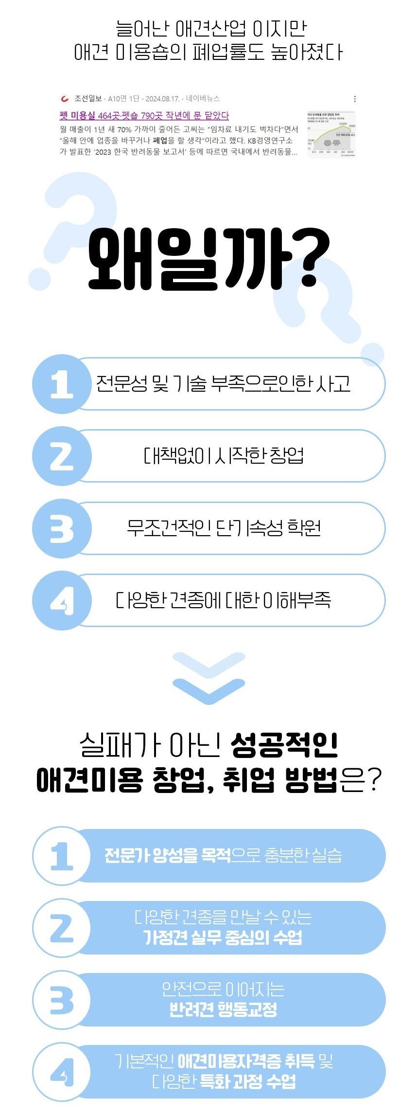 강남강아지미용샵