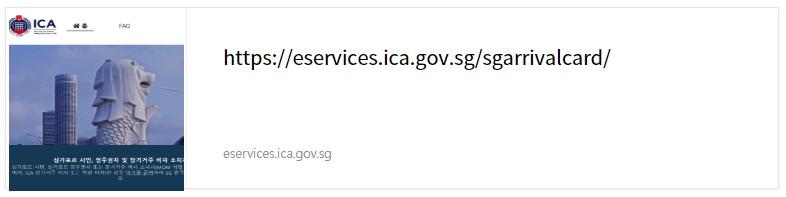 싱가포르 입국서류