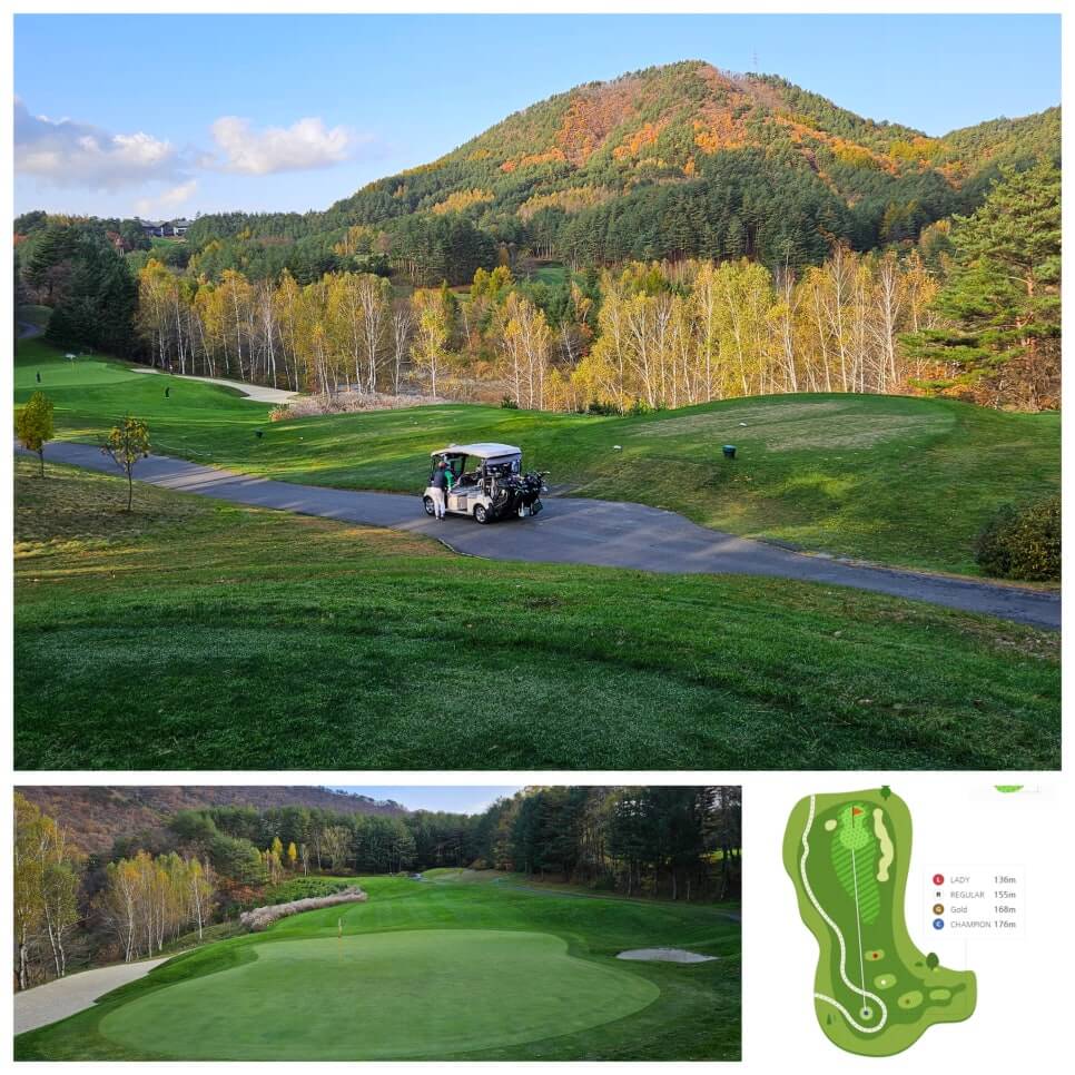 골프장 경험담 모나용평cc 해발 780m 청정 지역의 골프장 용평 리조트