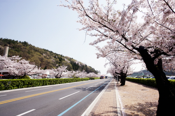 해군사관학교