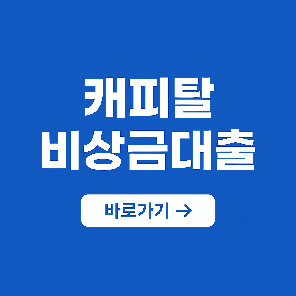 연체자 비상금대출
