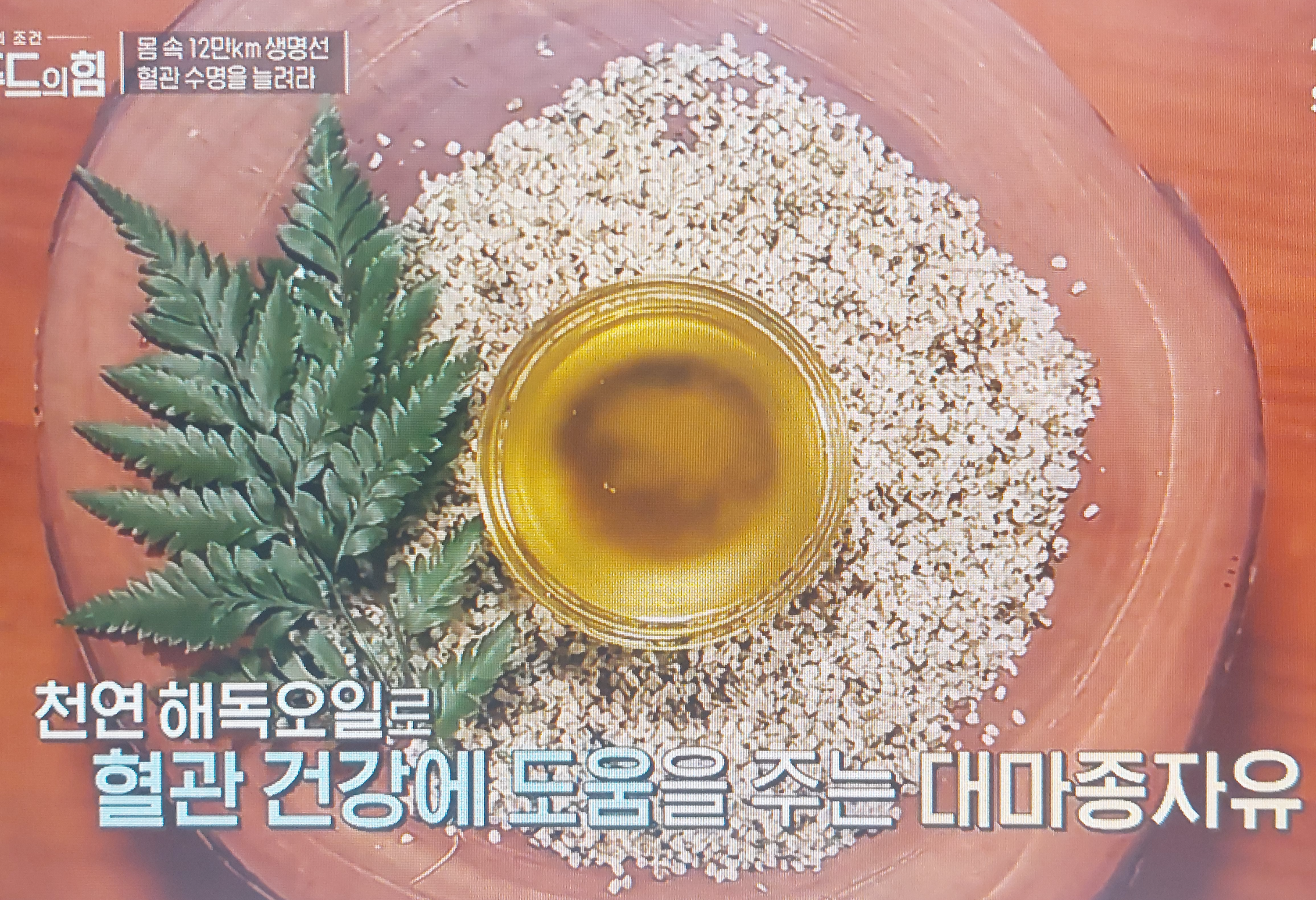 대마종자유 효능