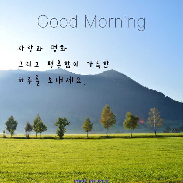 아침 인사로 좋은 글 이미지 아침 인사말 문구 모음