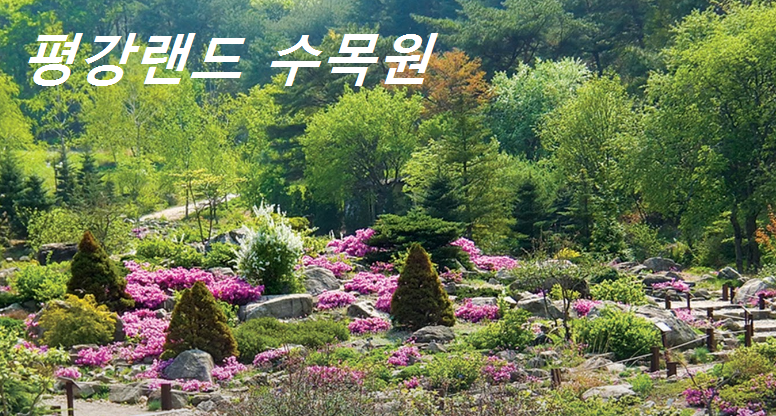 평강랜드수목원 대표사진