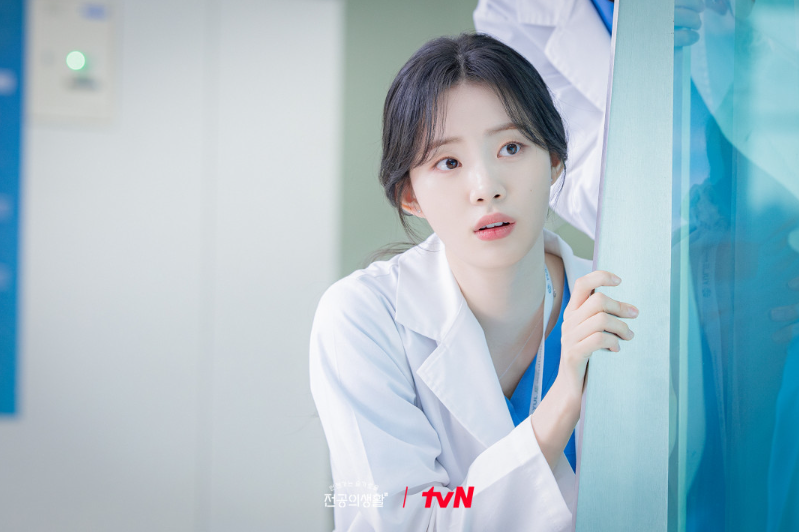 언젠가는 슬기로운 전공의 생활 등장인물, 방송시간, 몇부작