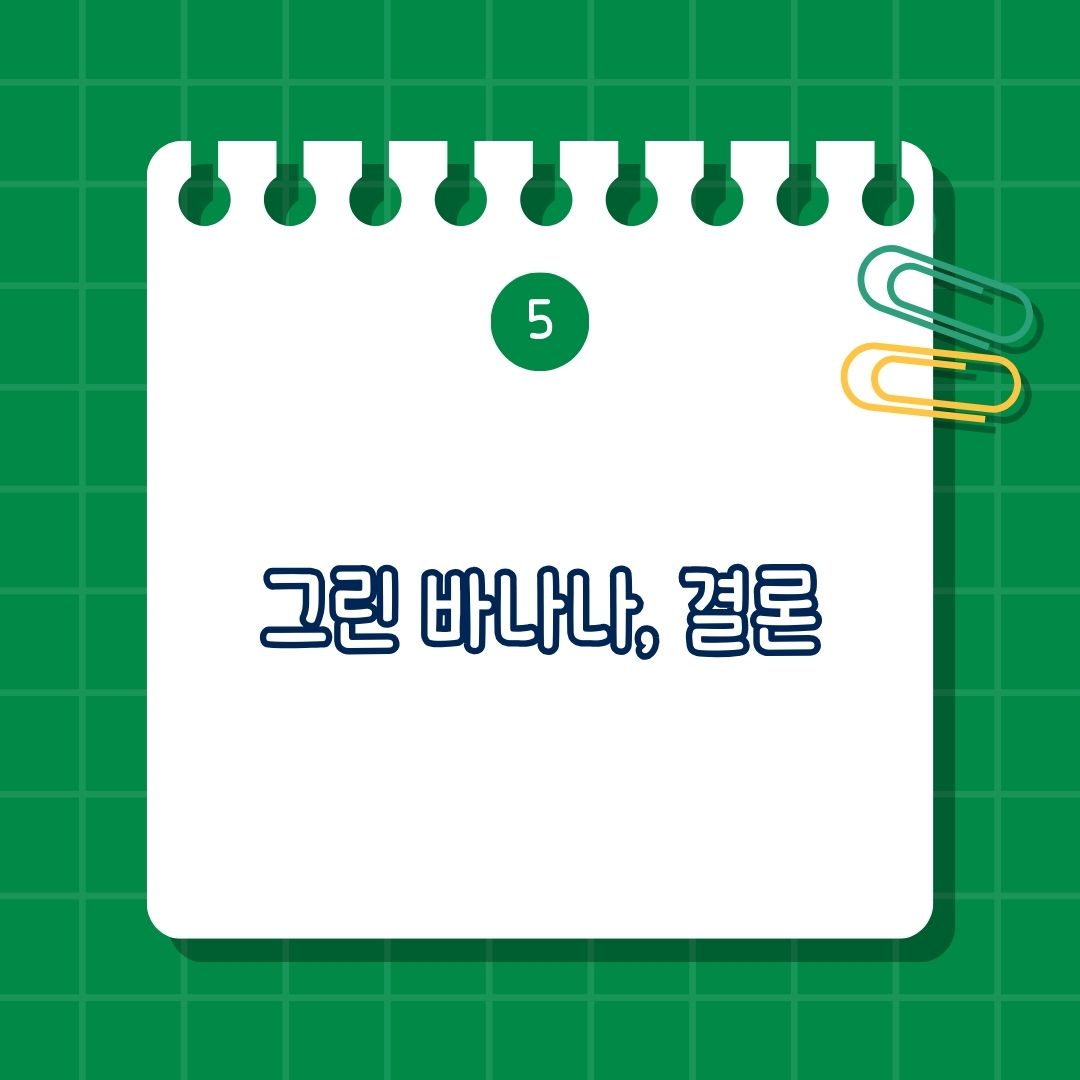 그린 바나나 가루 효능, 먹는 법, 섭취 방법, 주의 사항, 섭취량, 결론