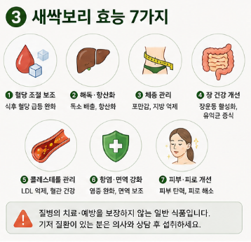 새싹보리-효능-먹는법-분말-가루-추천