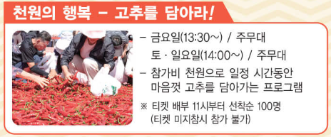 김밥말이