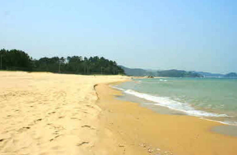 남애3리 해수욕장 해변사진