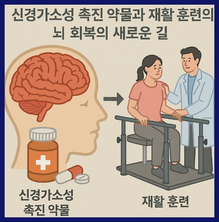 신경가소성 촉진 약물과 재활 훈련의 융합