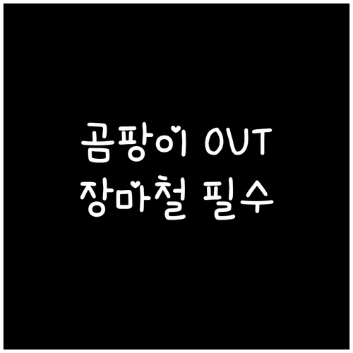 장마철 곰팡이 완전 정복: 청소, 습..