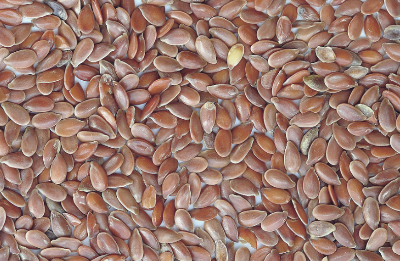 아마씨 효능과 부작용