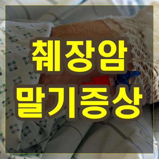 췌장암 말기증상