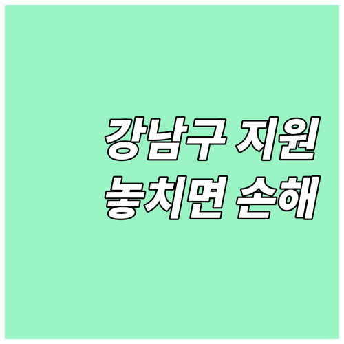 2025년 강남구 저소득층 대학생 교..