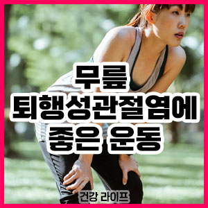 무릎 퇴행성관절염에 좋은 운동