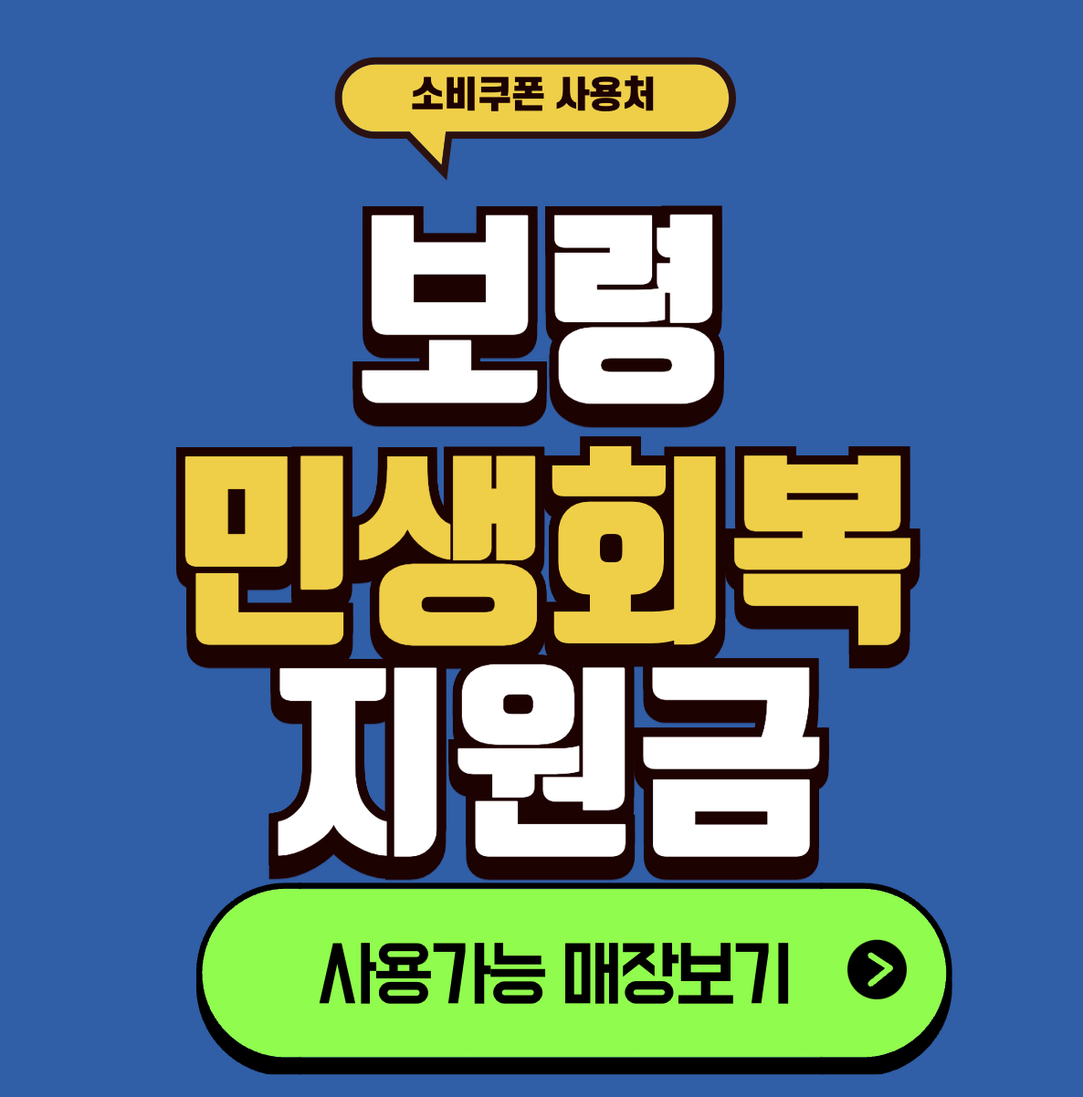 보령 민생회복지원금