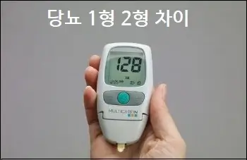 당뇨 1형 2형 차이